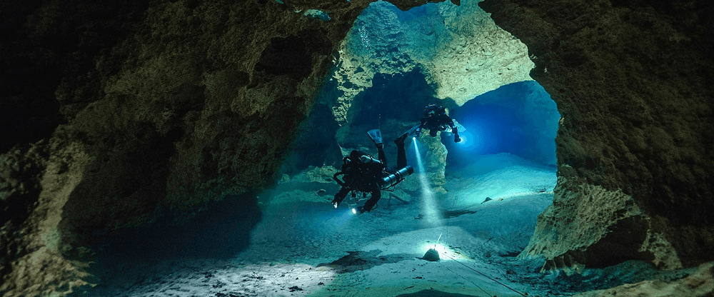 煤矿里的金丝雀