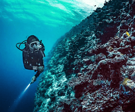 product-detail-card-1