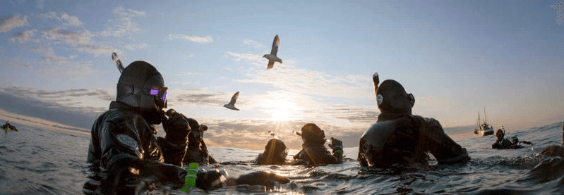 《与Jill Heinerth一同潜入：解密减压病》第四集