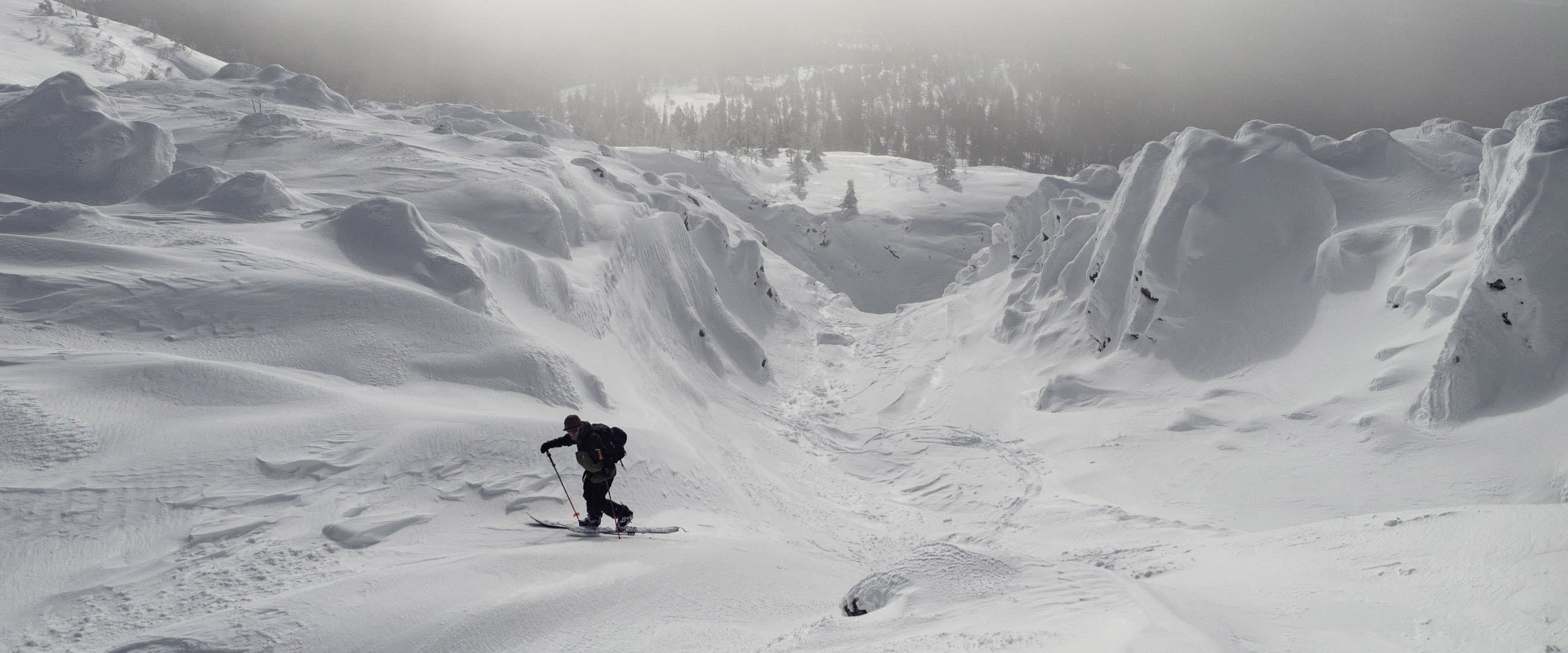 安蒂-奥蒂的北极之行