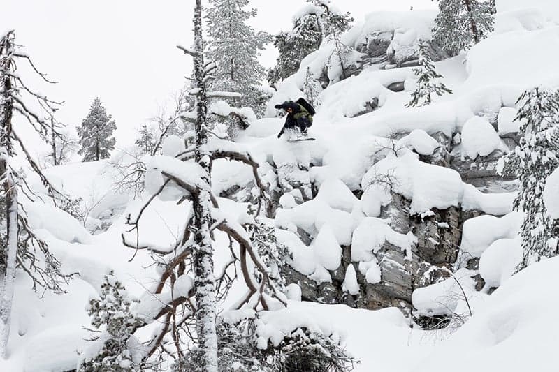 安蒂-奥蒂的北极之行