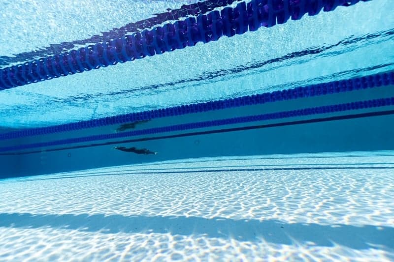 如何培养心理免疫系统对抗压力