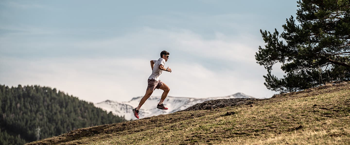 从Suunto教练那里获得反馈