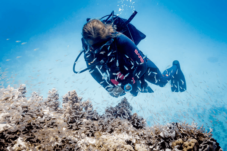 压力如何影响水肺潜水员–潜水生理入门