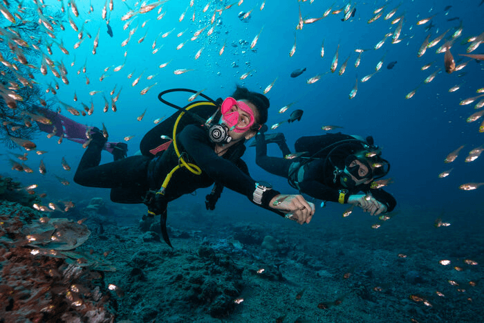 关于 SUUNTO 图片1